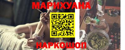 сатива Лесосибирск