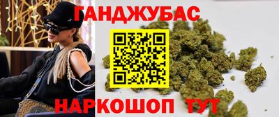 сатива Лесосибирск