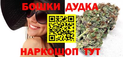 сатива Лесосибирск
