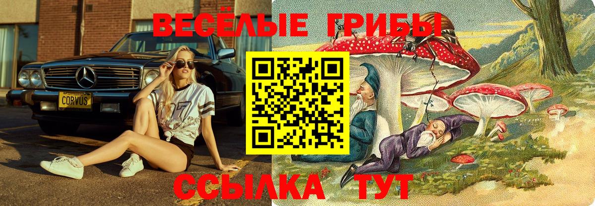 Псилоцибиновые грибы Psilocybine cubensis  Вход с VPN  Вичуга 