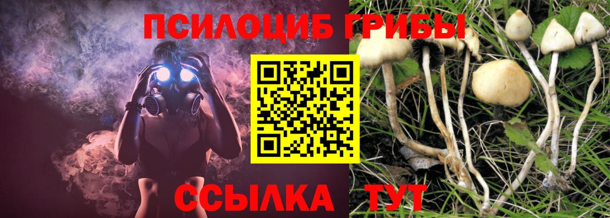 Псилоцибиновые грибы GOLDEN TEACHER Вичуга